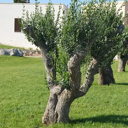 Casa Del Peperoncino *